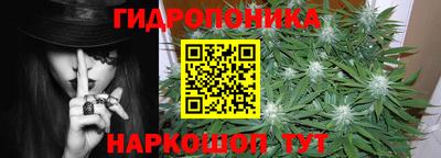 индика Кулебаки