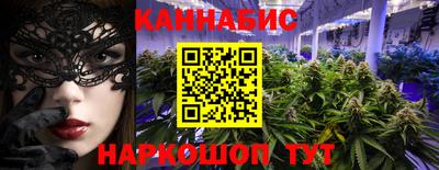 индика Кулебаки